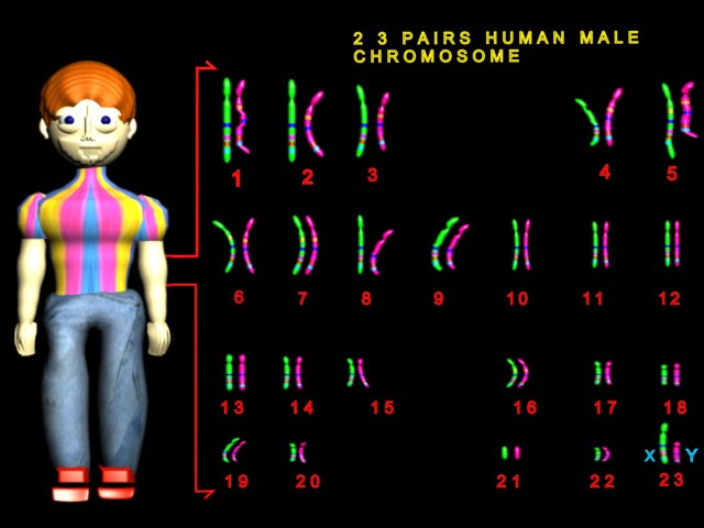 Terrifying CGI man standing next to chromosomes.