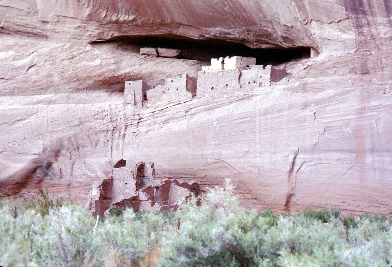 Ancient pueblo ruins situated under a large rock shelter, halfway up the cliff side, with trees in the foreground.